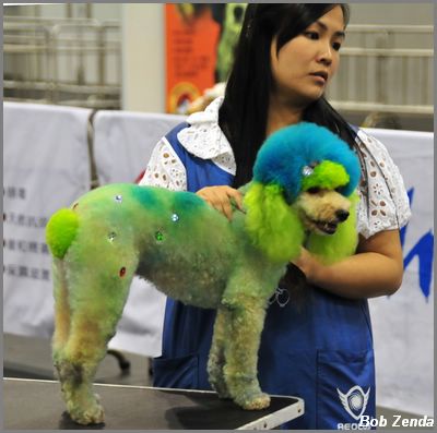 Stylist Competition 3